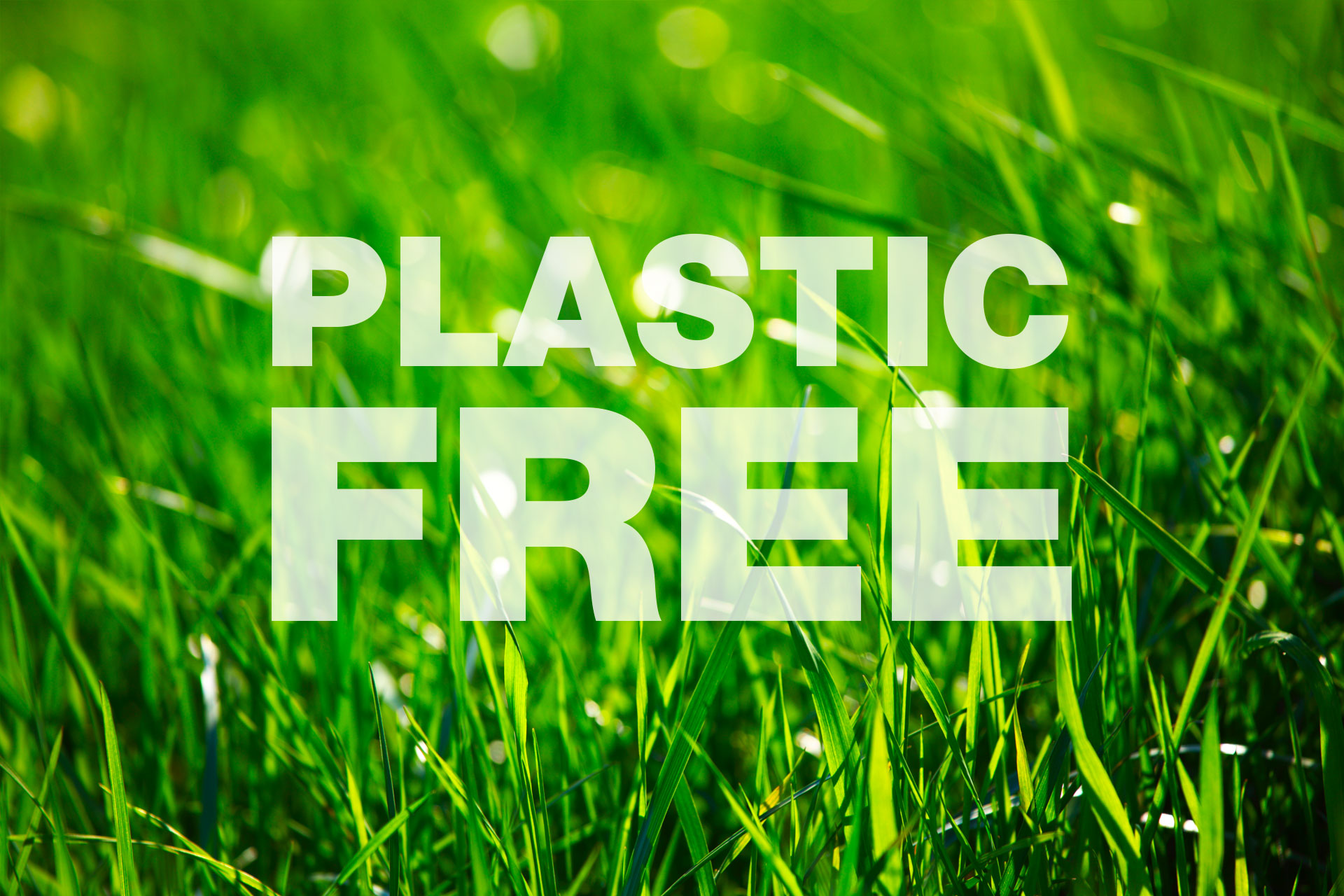 Plastic free: definition and solutions – STA2000